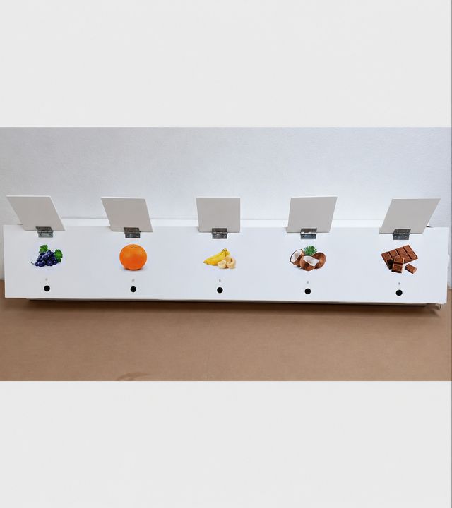 Aromaterapia para sala multissensorial
