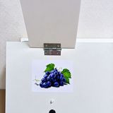 Aromaterapia da Mondiale, foto 2
